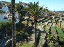 View from Bus , La Gomera